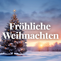 EDISION Betriebsferien Weihnachten 2024-2025!